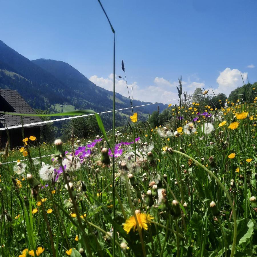 Sunnaschi Appartements - Wohnungen Oder Gesamt Als "Huette" ลาแทร์นส์ ภายนอก รูปภาพ