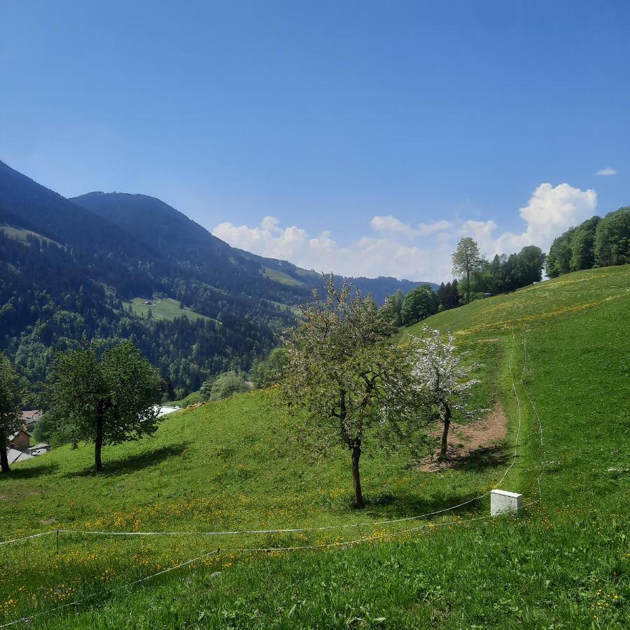 Sunnaschi Appartements - Wohnungen Oder Gesamt Als "Huette" ลาแทร์นส์ ภายนอก รูปภาพ