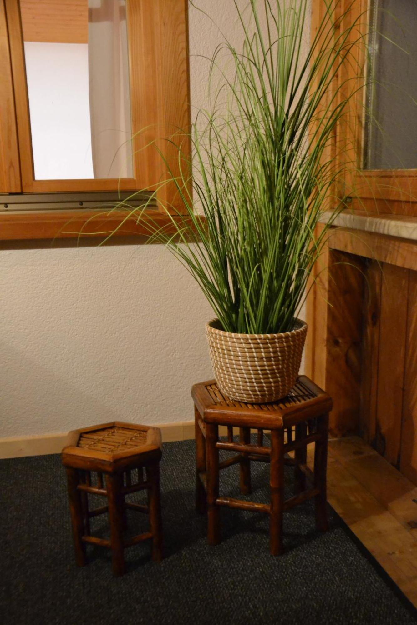 Sunnaschi Appartements - Wohnungen Oder Gesamt Als "Huette" ลาแทร์นส์ ภายนอก รูปภาพ