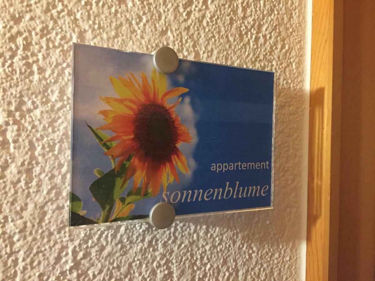 Sunnaschi Appartements - Wohnungen Oder Gesamt Als "Huette" ลาแทร์นส์ ภายนอก รูปภาพ